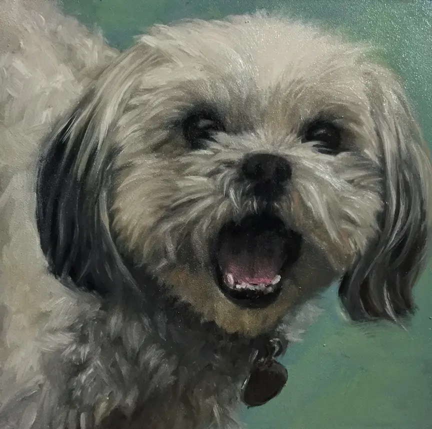 Painting dog portraits - Henry