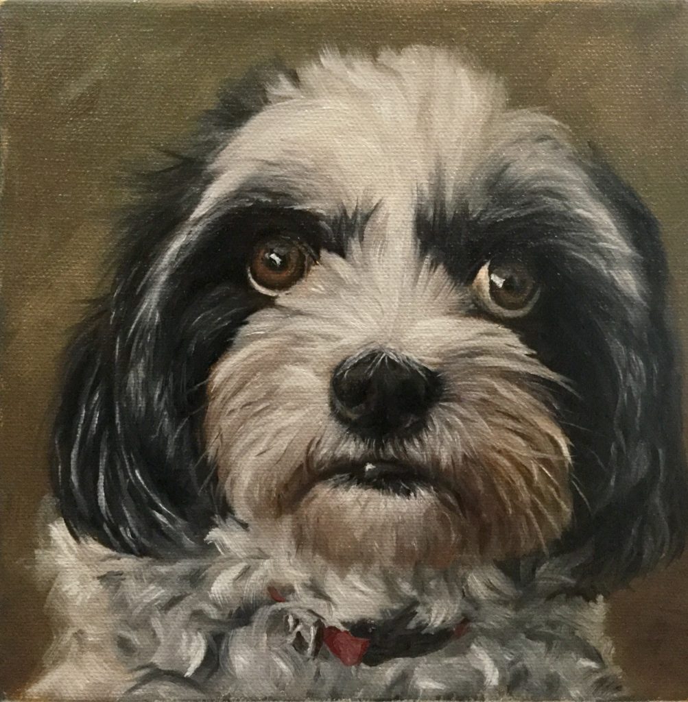 Painting Dog Portraits - Dog portrait of Rocco