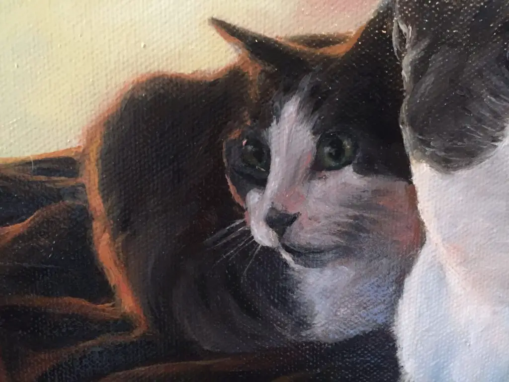 How To Paint A Cat – Step 6