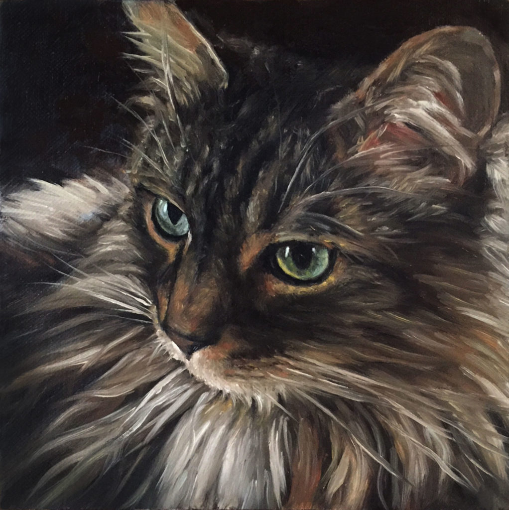 Painting A Cat In Oil Featuring Prescott, A Gorgeous Maine Coon