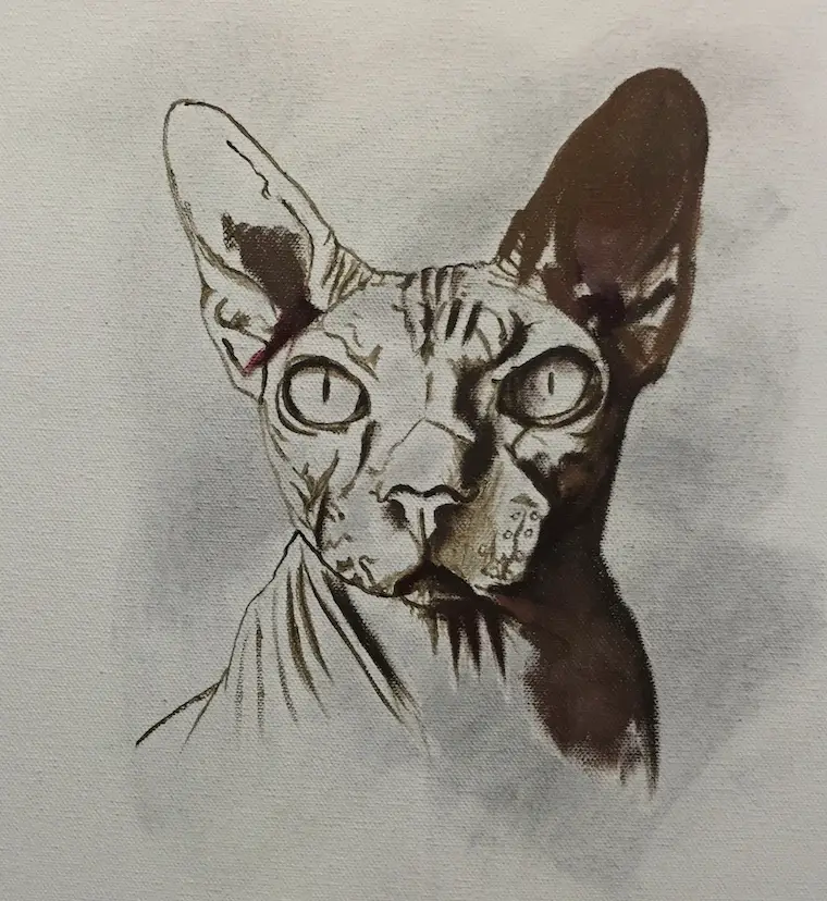 How To Paint A Hairless Sphynx Cat