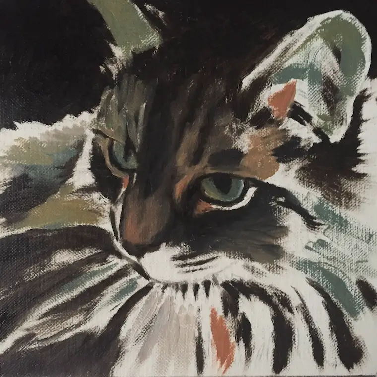 Painting A Cat In Oil Featuring Prescott, A Gorgeous Maine Coon step 2