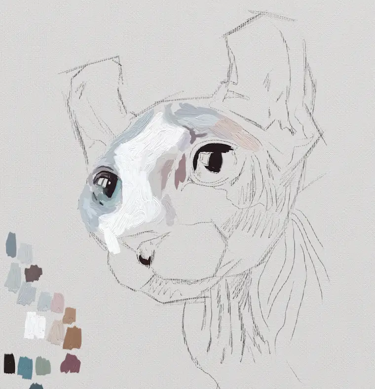 Painting a cat step by step in ArtRage featuring Remy the Gargoyle Sphynx hairless cat step 1