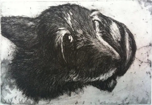 Painting black fur Beardsley ingaglio dog drawing cairn terrier rat terrier