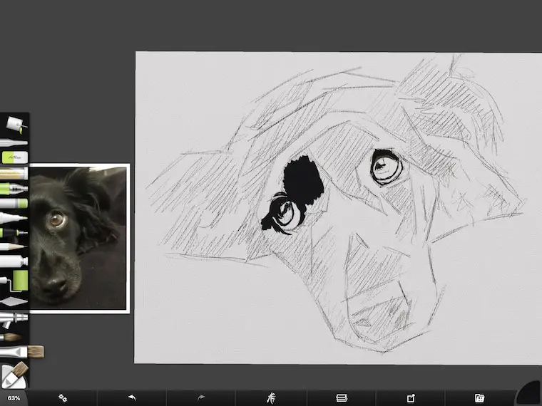 step 2 8 tips for painting black fur traditional and digital ArtRage step-by-step tutorial