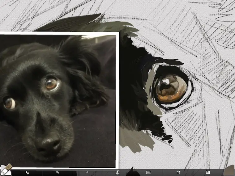 step 3 eye close up 8 tips for painting black fur traditional and digital ArtRage step-by-step tutorial