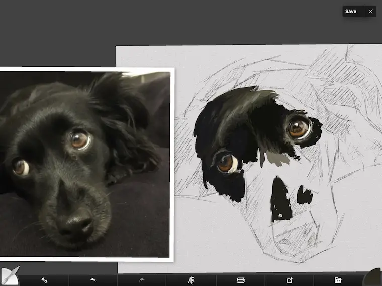 step 4 8 tips for painting black fur traditional and digital ArtRage step-by-step tutorial