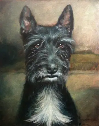 Painting black fur Rufus Acrylic on canvas Shelley Hanna acrylic painting mona lisa background cairn terrier