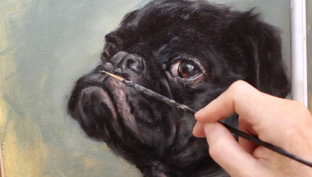 muzzle highlight black pug dog oil painting shelley hanna tutorial how to