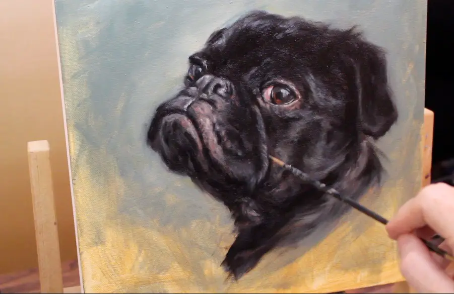 muzzle mid tones black pug dog oil painting shelley hanna tutorial how to