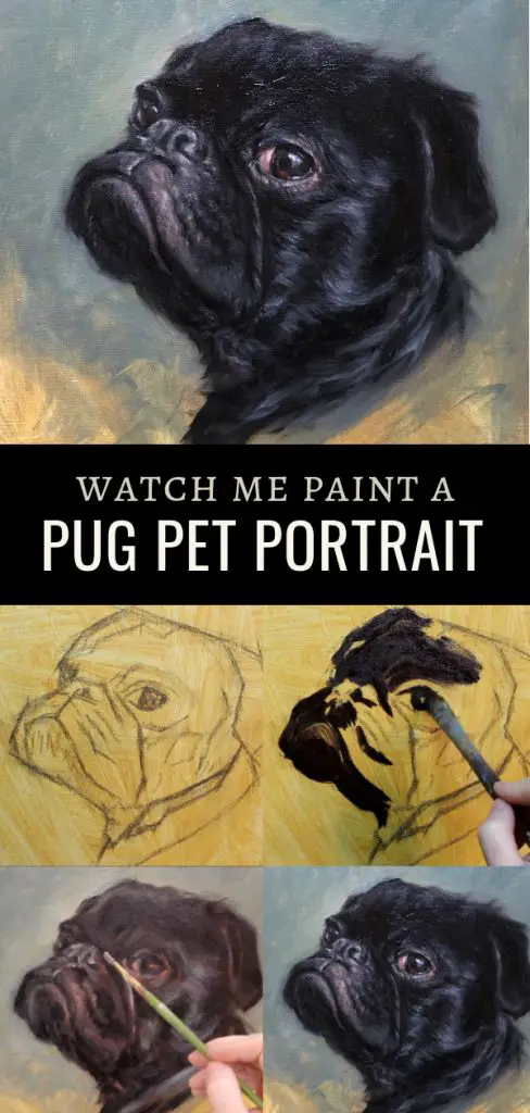 pug pin 3 pet portrait