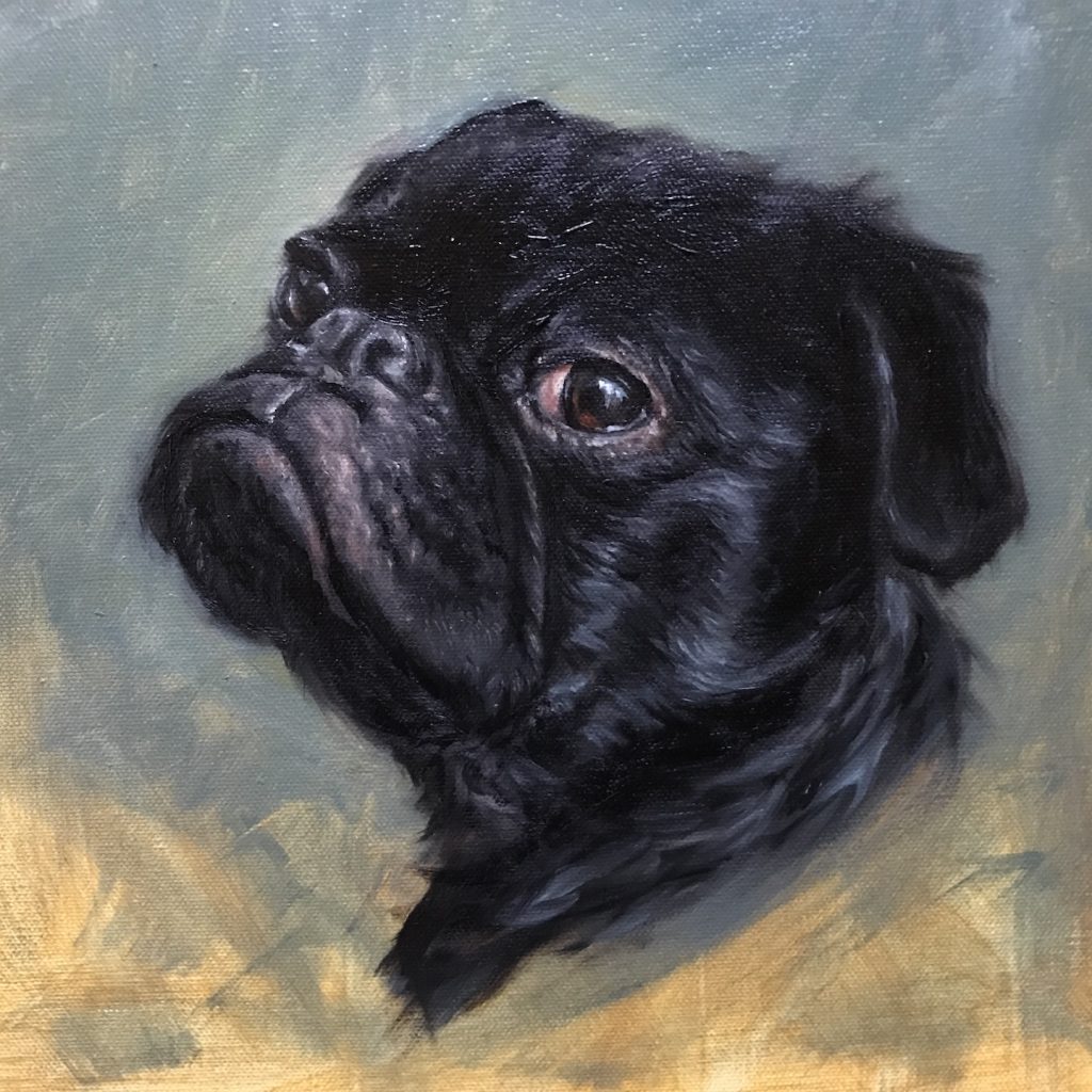 Pet portrait painting final pug painting black pug dog shelley hanna