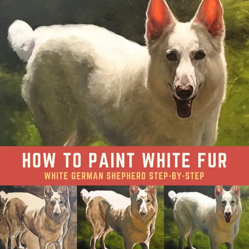 White paint store for dog fur