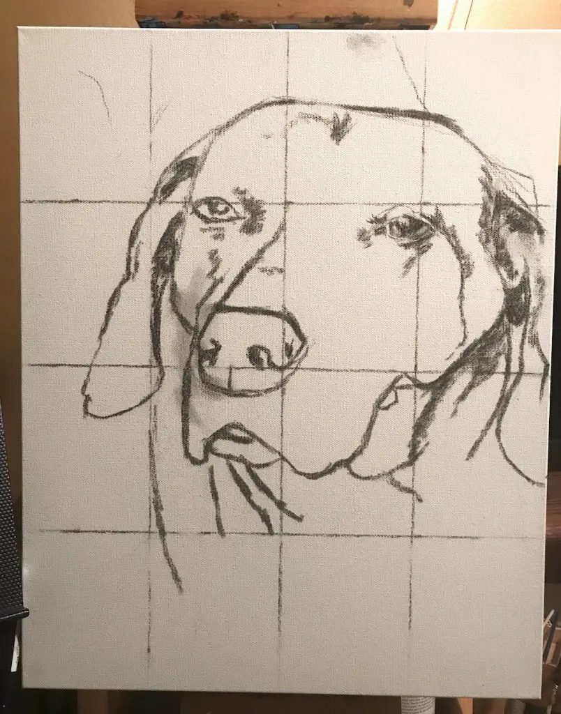 mistake sketch senior dog