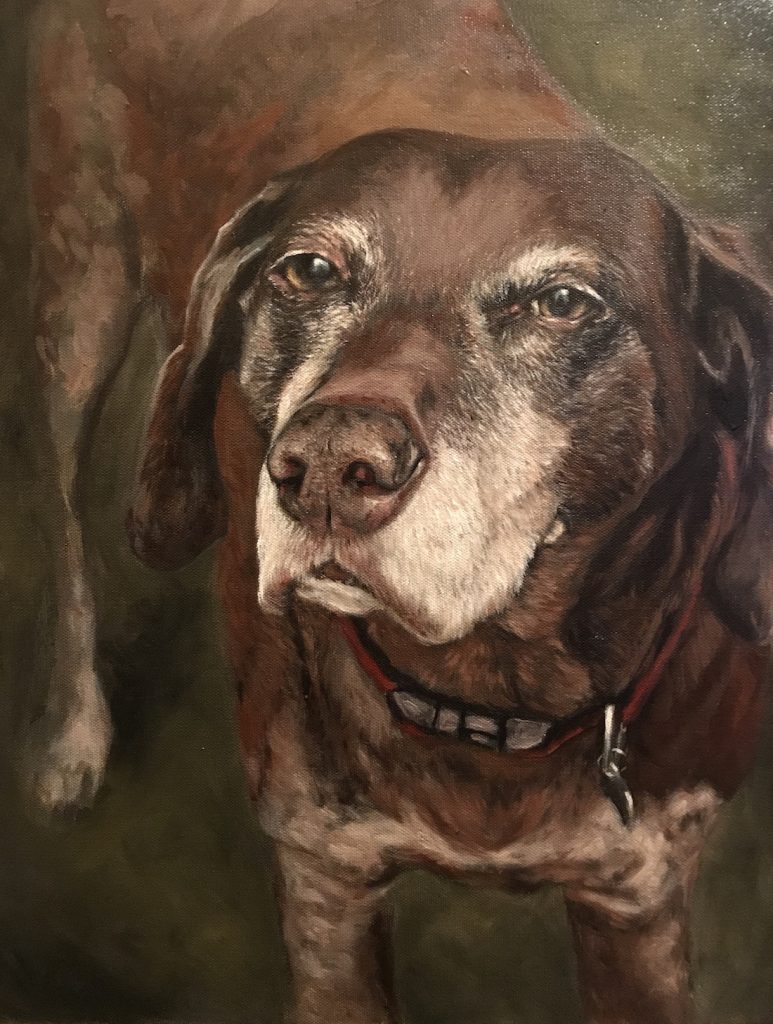 Oil painting of a senior dog, Duke