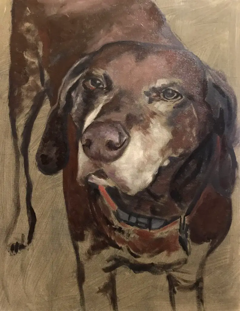 Adding medium tones to senior dog portrait face