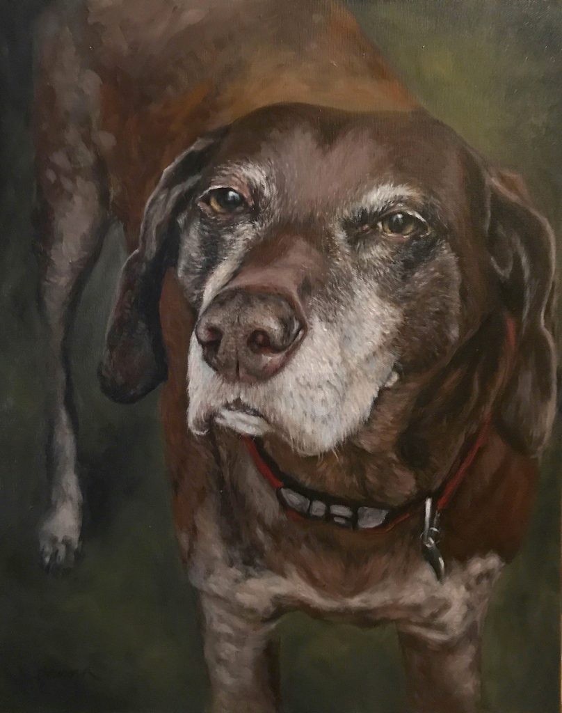 Duke Senior Dog Portrait Final