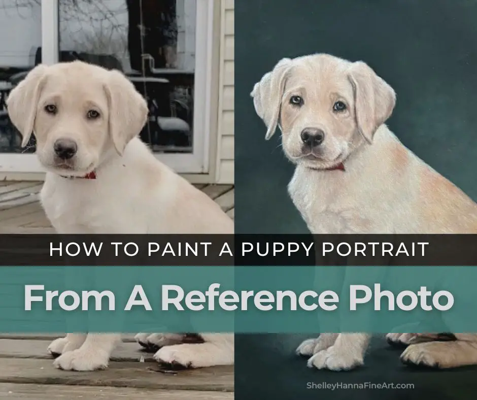 How To Paint A Puppy Portrait From A Reference Photo