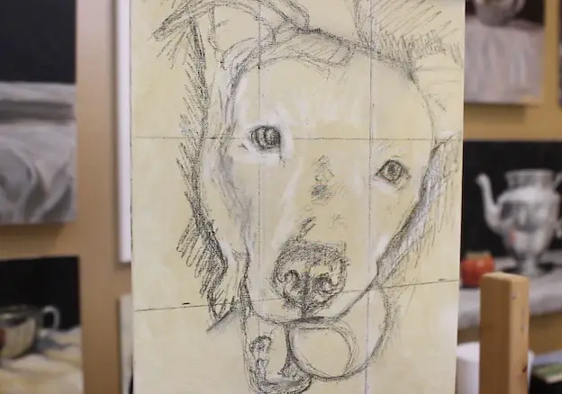 Sketch in charcoal of pet portrait on linen canvas panel toned with yellow ochre