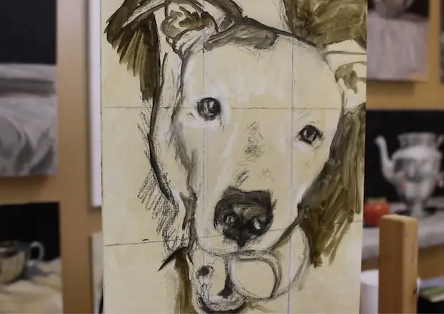 Pet portrait charcoal drawing reinforced with thinned burned umber oil paint.