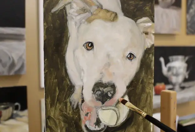 Adding cad red to the muzzle and mouth on a pet portrait painting of a pit bull.