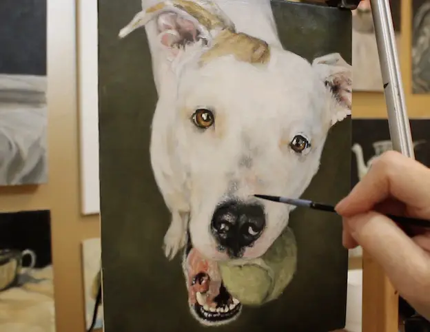 Refining values on a pet portrait painting of a pit bull.