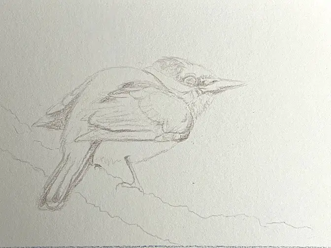 Very light sketch of a bird done with watercolor pencil