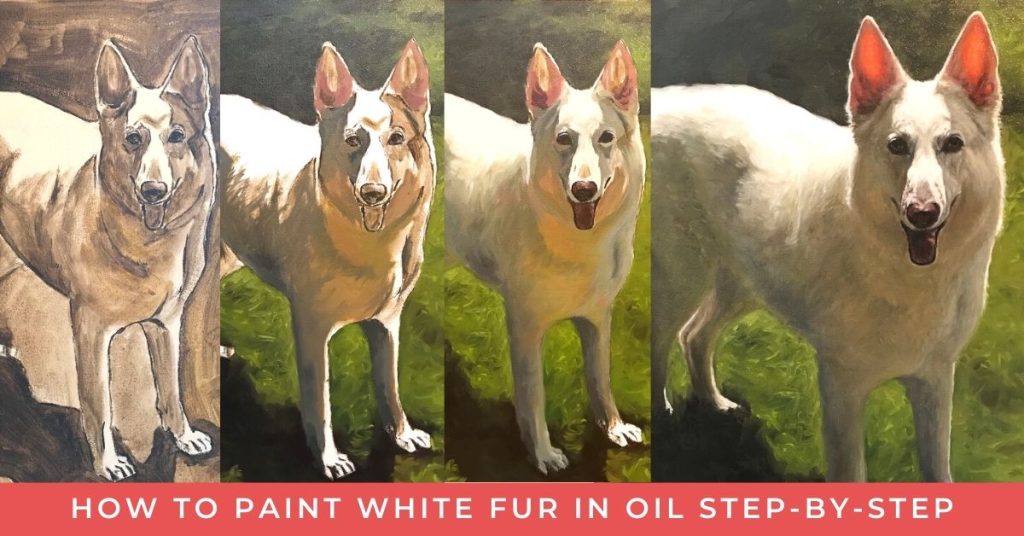 image shows a four part progression of a white German shepherd painted in oil. Text reads "how to paint white fur in oil step-by-step"