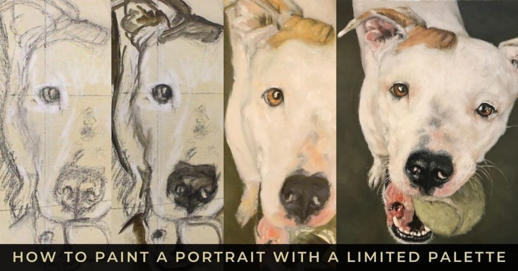 image shows a four part progression of a white pit bull portrait painting in oil from sketch to finished painting. Text reads "how to paint a portrait with a limited palette"