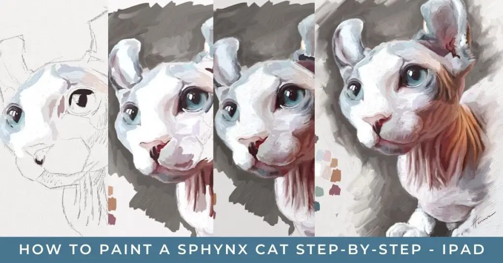 Image shows a four part progression of a hairless cat from sketch to finish painted digitally. Text reads "how to paint a sphynx cat step-by-step iPad"