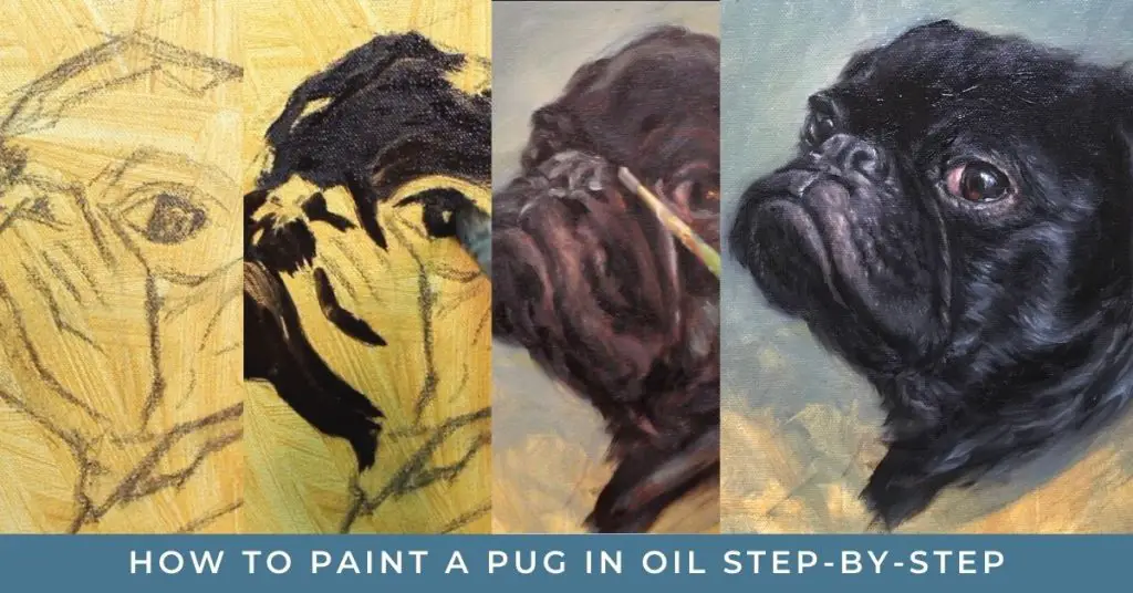 image shows a 4 part progression of a black pug portrait painting from sketch to finish. Text reads "how to paint a pug in oil step-by-step"