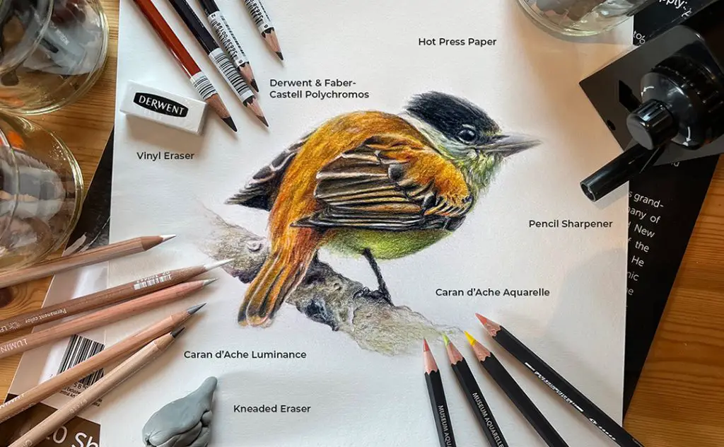 Overhead image of colored pencil drawing of a bird on a table with color pencils, erasers and a pencil sharpener.
