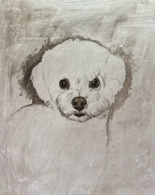 Image of a dog with curly white fur sketched onto a canvas toned with burnt umber by Shelley Hanna.