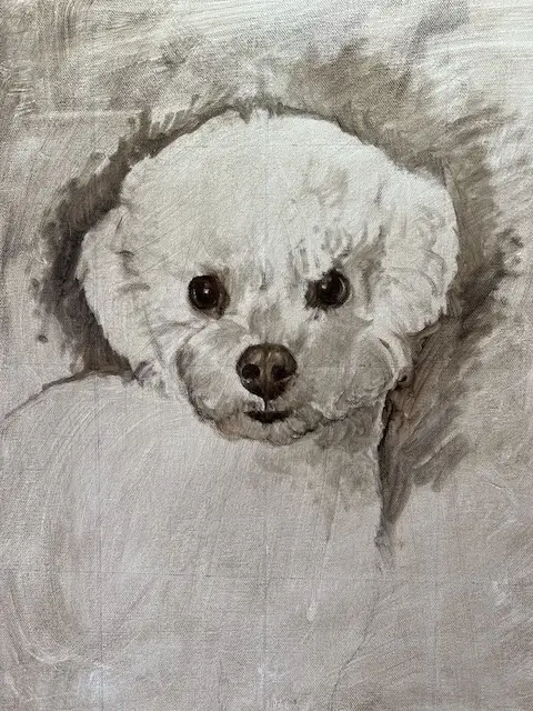 image of sketch of a dog portrait on canvas toned with burnt umber by Shelley Hanna.