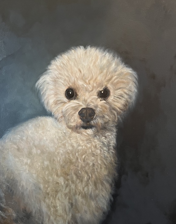 Image of a painting in progress of a dog with curly white fur by Shelley Hanna.