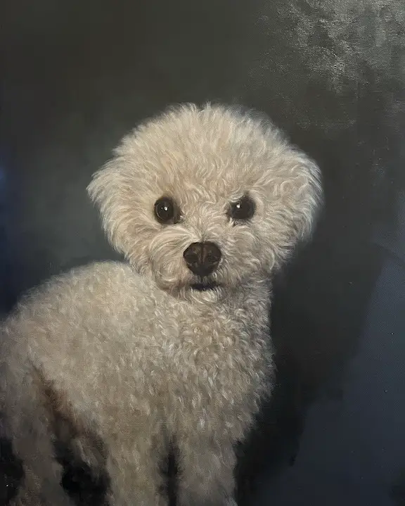 Image of a painting in the final stages of progress of a dog with curly white fur by Shelley Hanna. 