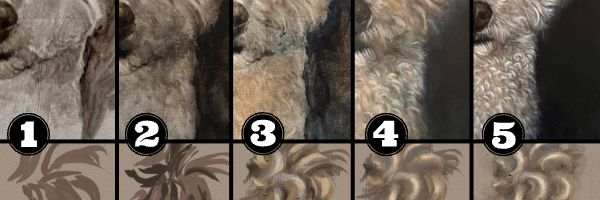 Progress image of how to paint curly white fur with 5 images showing the different steps of building the curls.