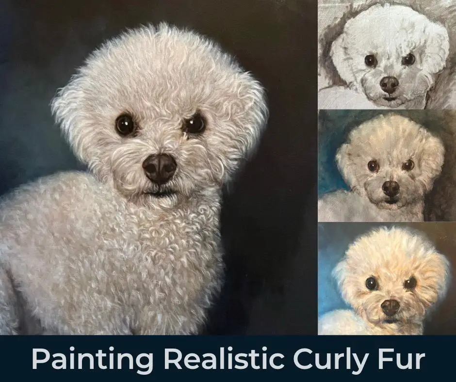 graphic for Curly White Fur article on how to paint realistic curly white fur. 4 images of a painting of a dog with curly white hair. The largest image on the left is finished. The smaller 3 images are in various stages of painting. Text reads "Painting Realistic Curly Fur". Painting by Shelley Hanna.
